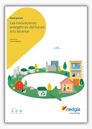 NED - Portada sombreada LP innovaciones