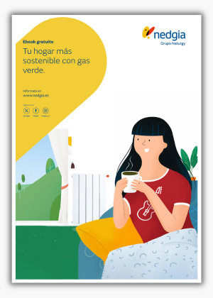 NED - Portada sombreada LP