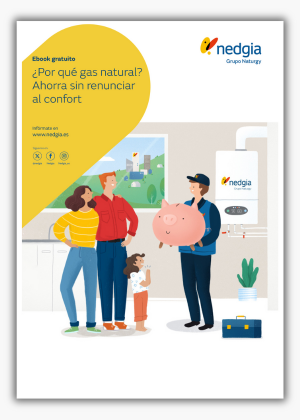 NED - Portada sombreada LP