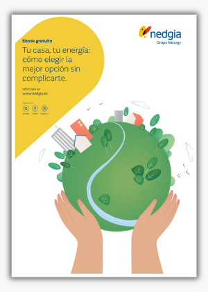 NED - Portada sombreada LP