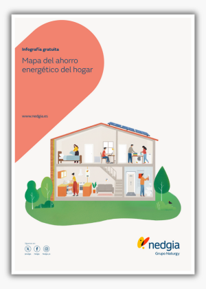 NED - Portada sombreada LP (2)